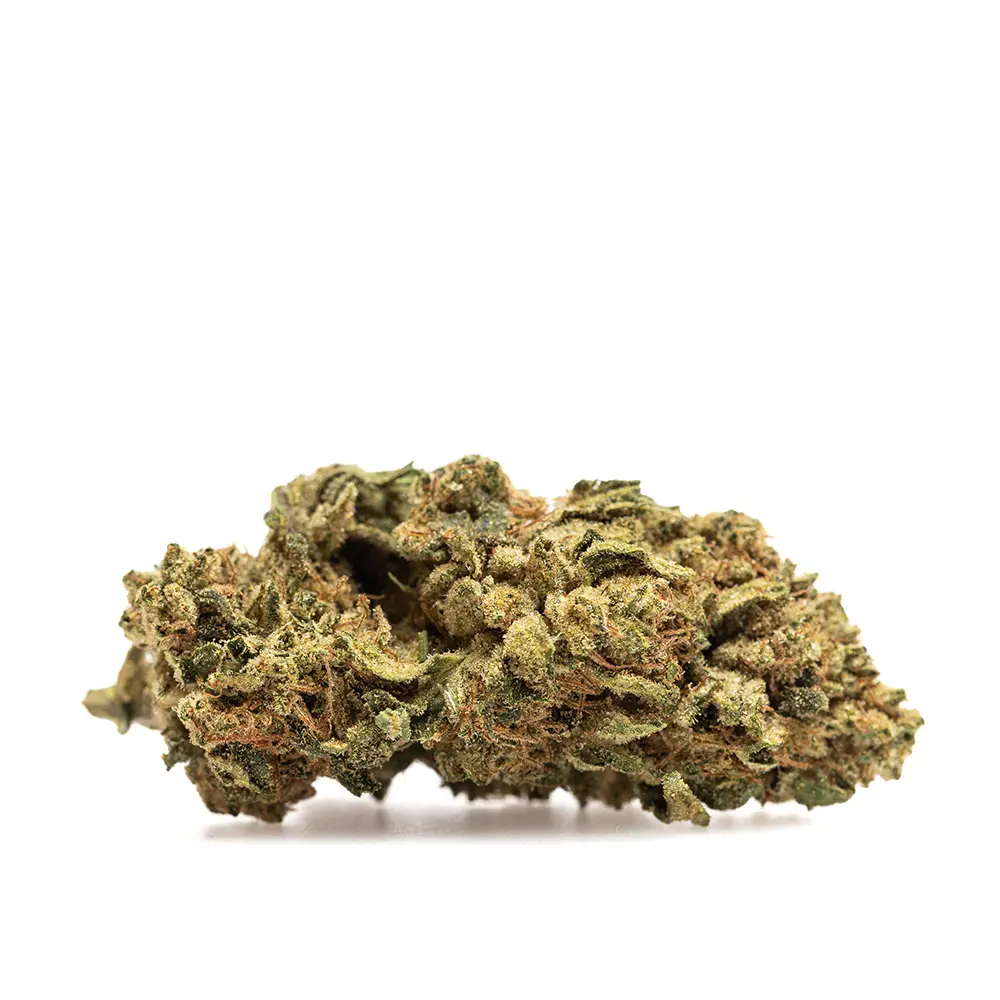 KGS_GMO_CBD_002.webp