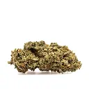 KGS_GMO_CBD_002.webp