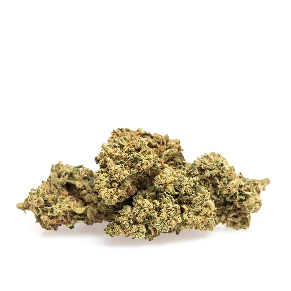 KGS_GMO_CBD_003.webp