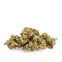 KGS_GMO_CBD_003.webp