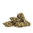 KGS_GUAVA_N9_003.webp