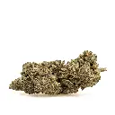 KGS_GUAVA_N9_002.webp