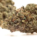 KGS_LEMON_COOKIES_CBD_004.webp