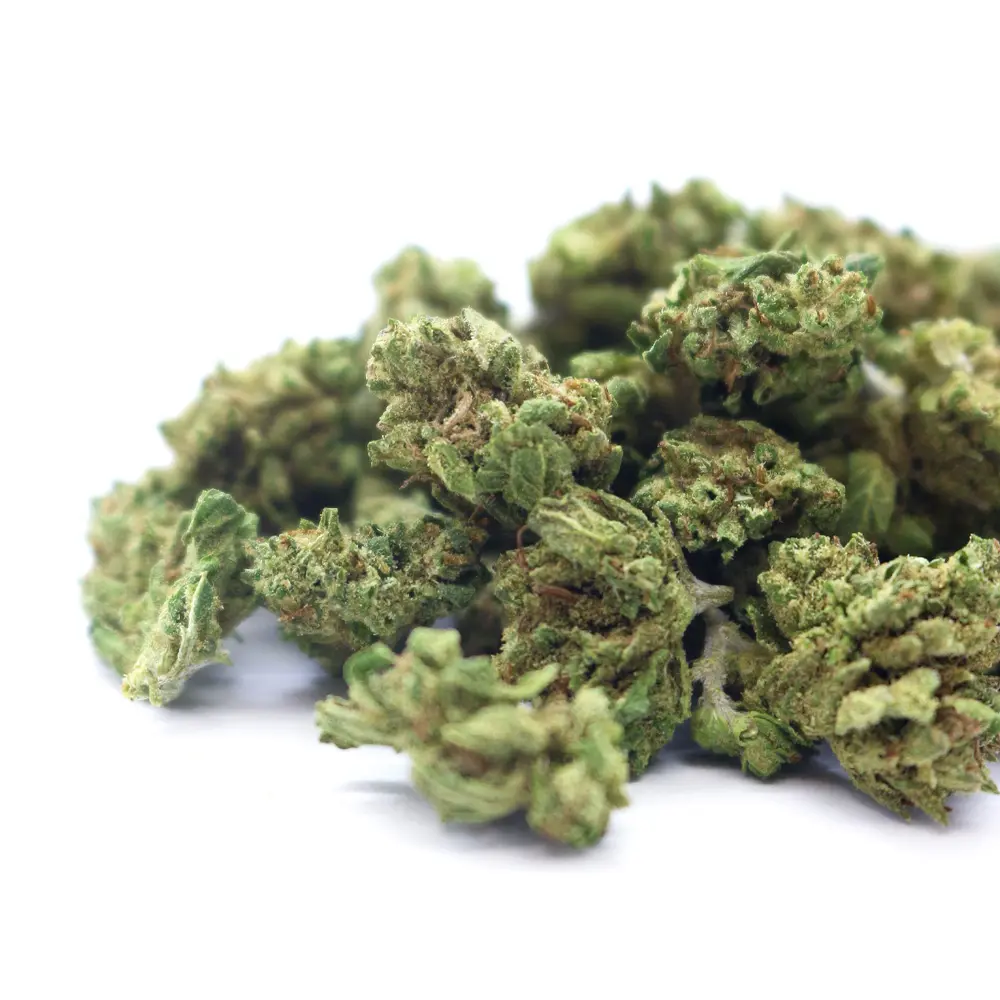 ZKITTLEZ_POPCORN_002.webp