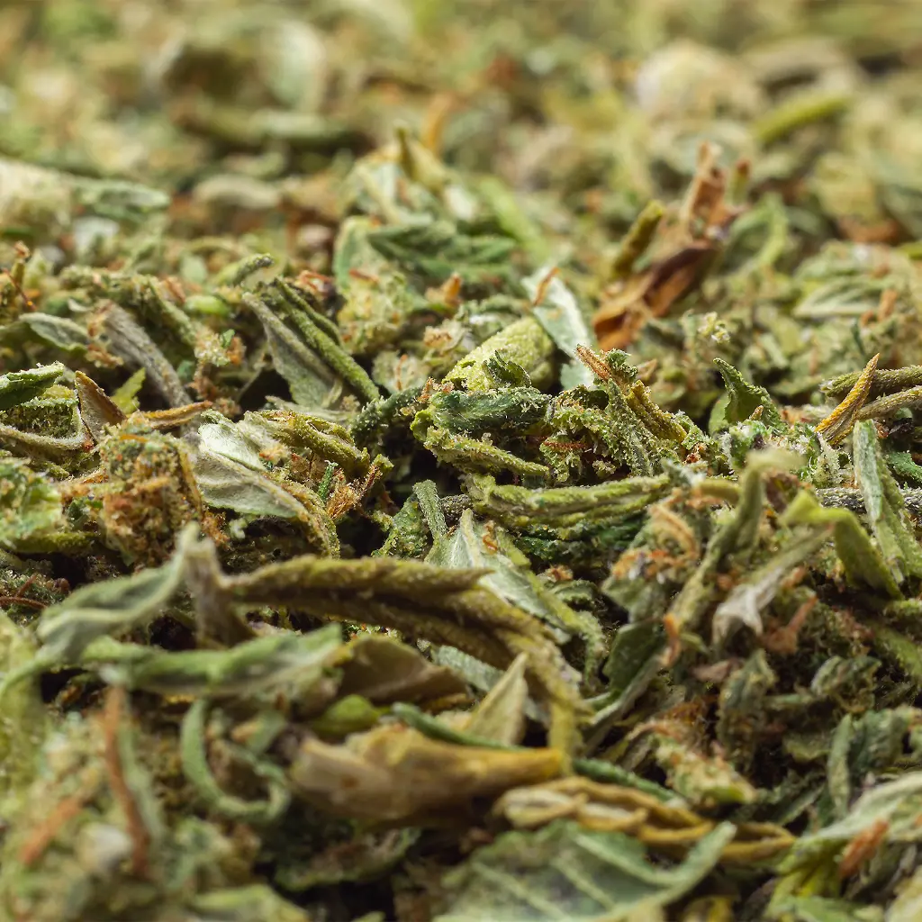 TRIM_N_SHAKE_002.webp