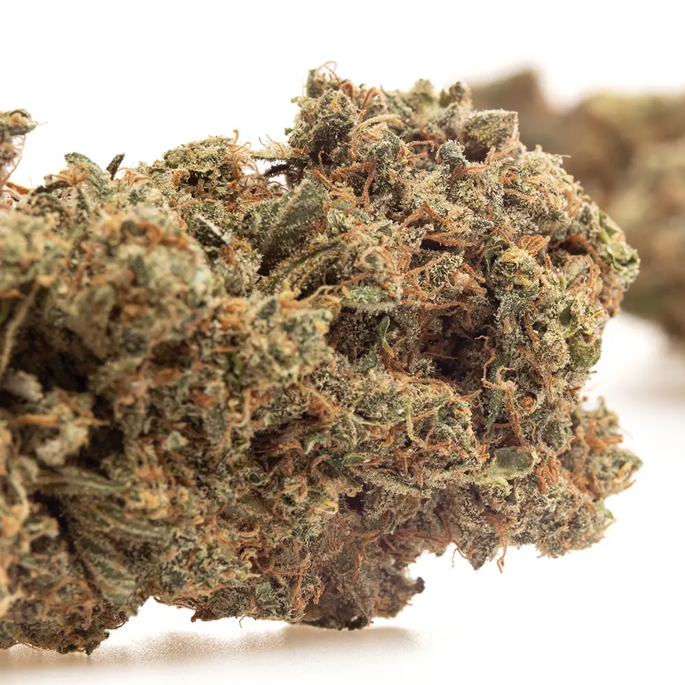 KGS_YUZU_CREAM_SODA_CBD_004.webp