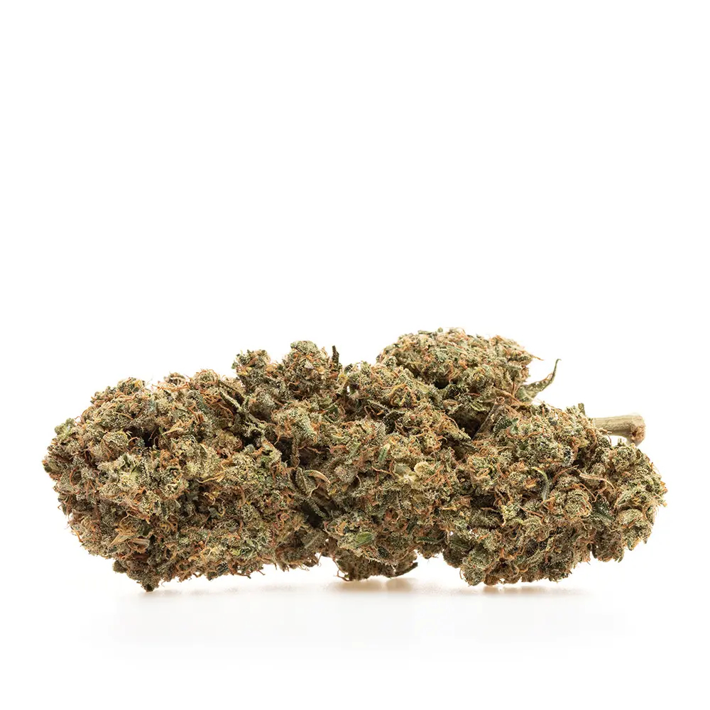KGS_YUZU_CREAM_SODA_CBD_001.webp