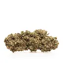 KGS_YUZU_CREAM_SODA_CBD_001.webp