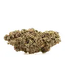 KGS_YUZU_CREAM_SODA_CBD_002.webp