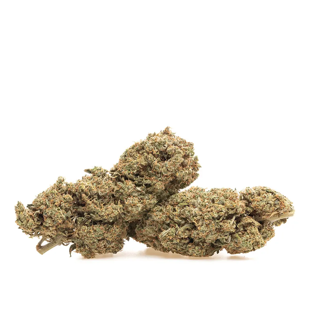 KGS_YUZU_CREAM_SODA_CBD_003.webp