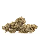 KGS_YUZU_CREAM_SODA_CBD_003.webp