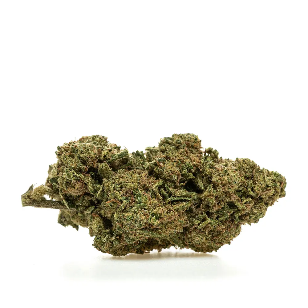 KGS_ZKR-B_CBD_004.webp
