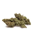 KGS_ZKR-B_CBD_005.webp