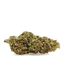 Lemon Zest RETAIL
