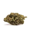 Super Lemon Haze THX RETAIL