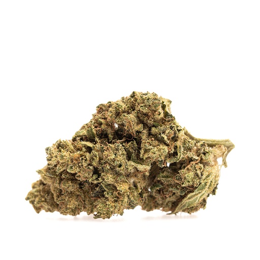 [FLO-SKUNK-RT] Skunk RETAIL