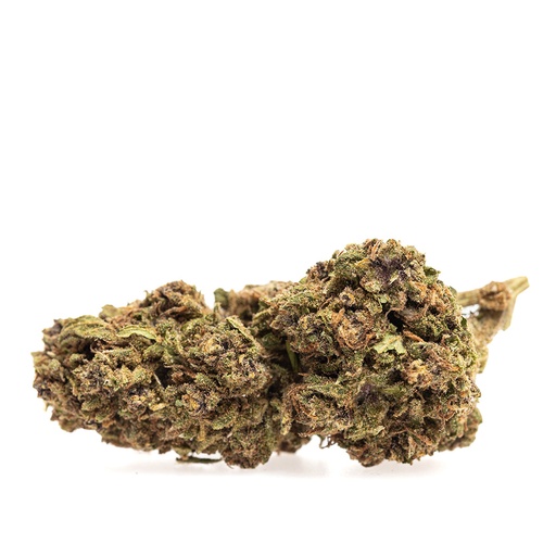 [FLO-SOURSPRITZ-RT] Sour Spritz RETAIL