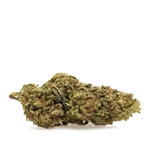 [FLO-LEMONZEST-RT] Lemon Zest RETAIL