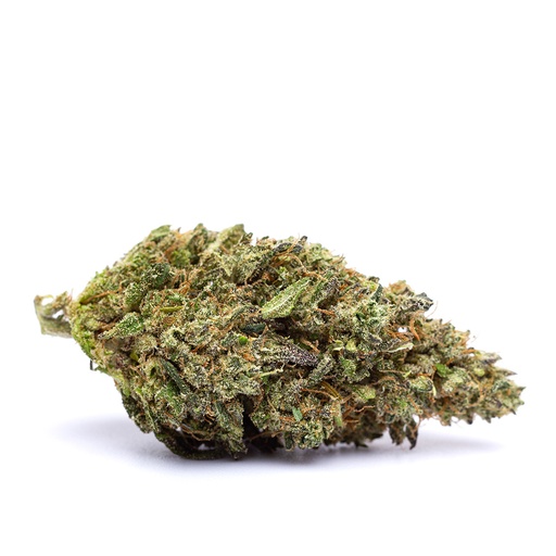 [FLO-MANGOZKITTLEZ-RT] Mango Zkittlez RETAIL