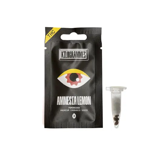 [SEEDS-AMNESIALEMONTHCFR-3] Graines THC AMNESIA LEMON (x3)