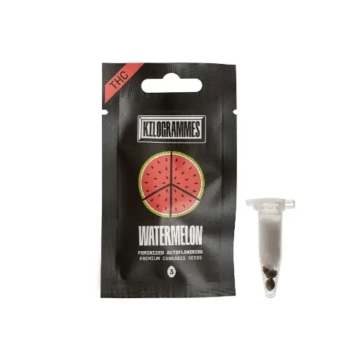 [SEEDS-WATERMELONTHCFR-3] Graines THC WATERMELON (x3) 