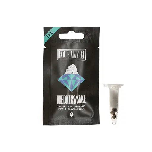 [SEEDS-WEDDINGCAKETHCFR-3] Graines THC WEDDING CAKE (x3) 